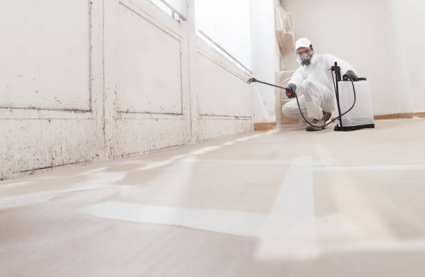 24/7 Emergency Commercial Mold Remediation experts in Westminster, TX